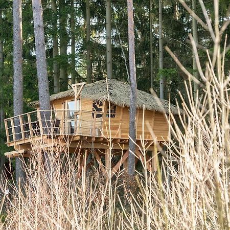 Hotel Treehouse U Rybnika Osecna Esterno foto