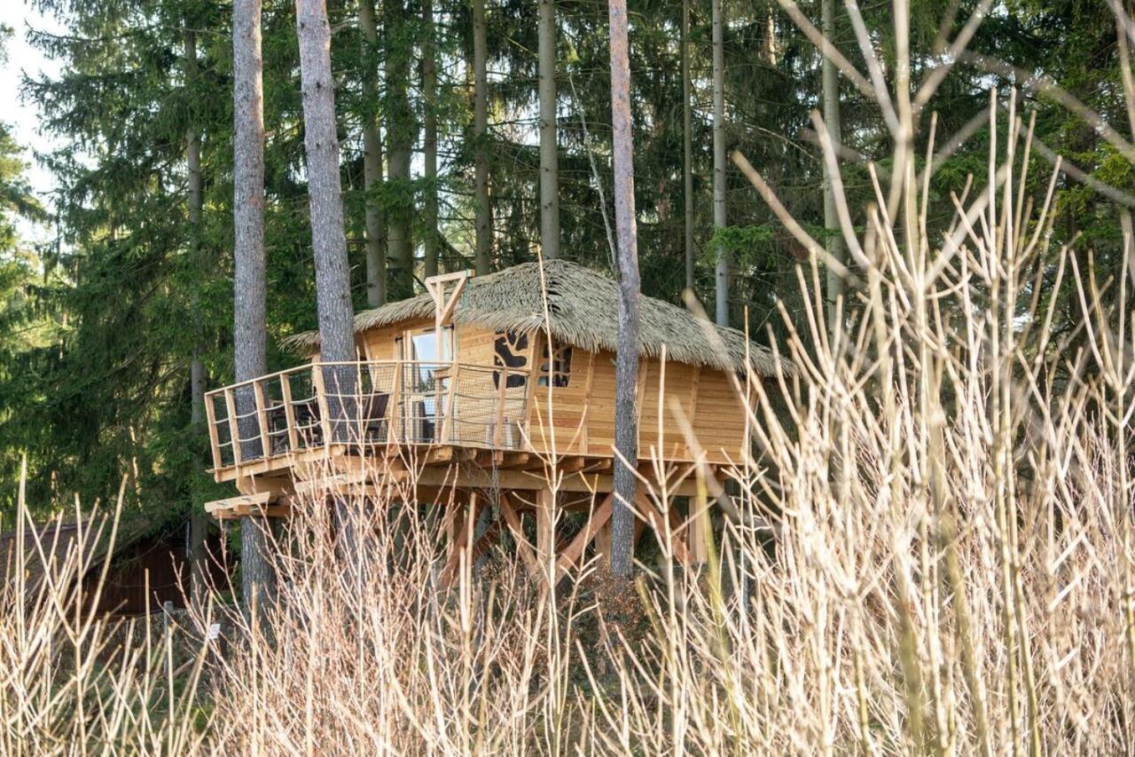 Hotel Treehouse U Rybnika Osecna Esterno foto